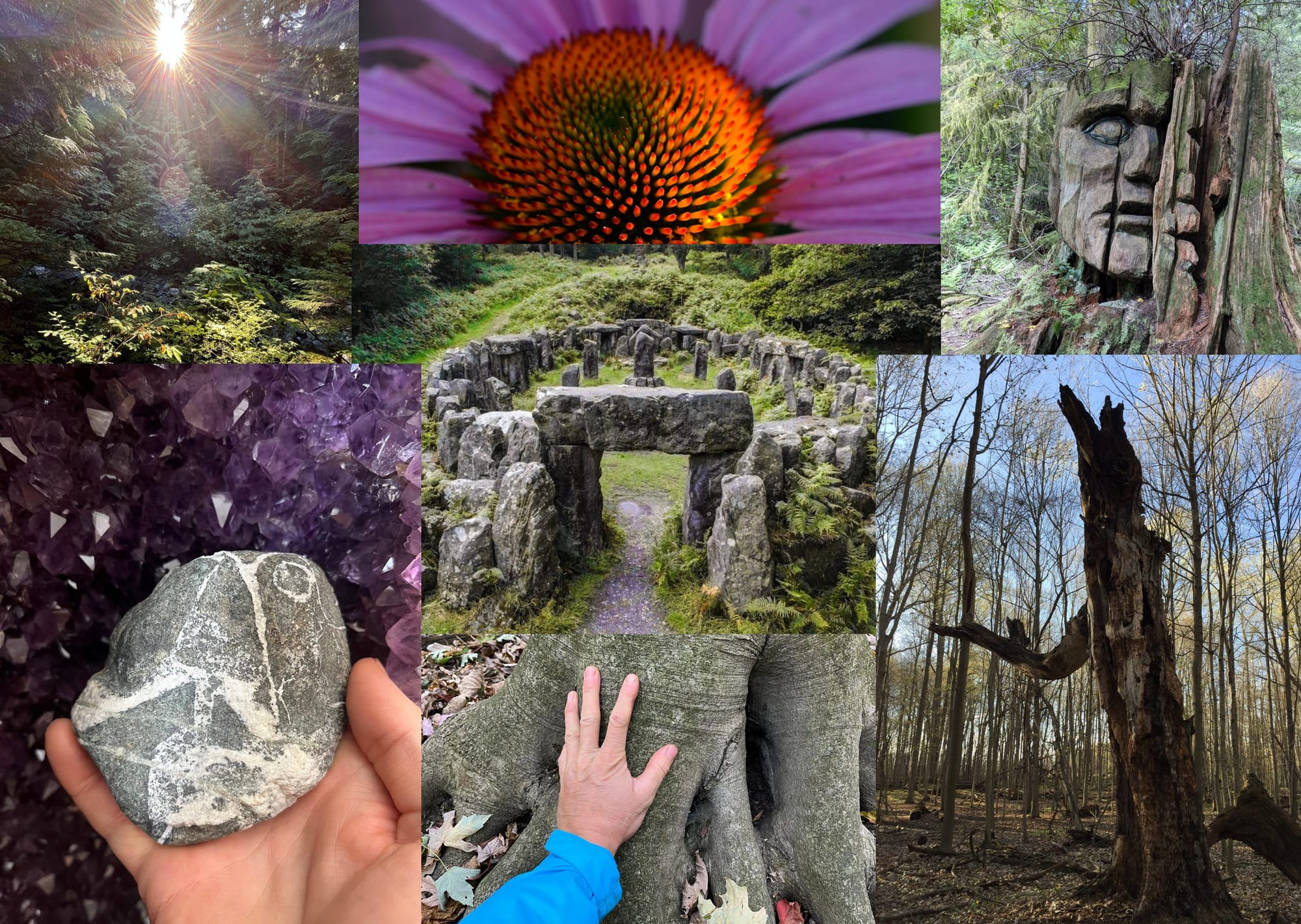 Applied Animism : Rooting Culture, Earth and Spirit Applied Animism : Rooting Culture, Earth and Spirit