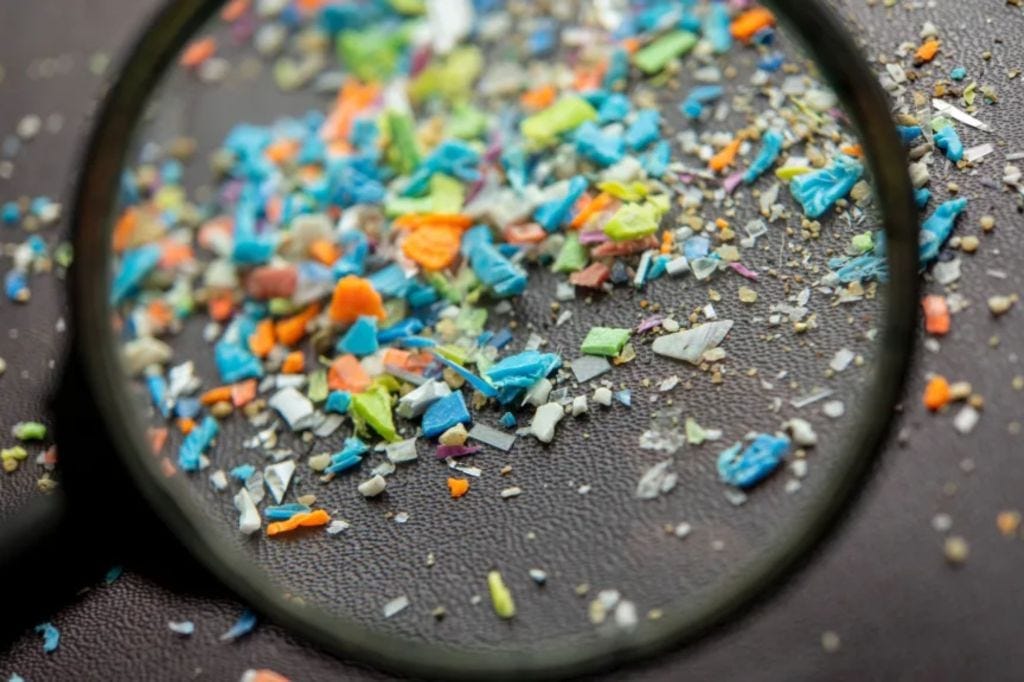 In a new scientific paper, three physicians report that one switch could cut microplastic intake by about 90% — from 90,000 to 4,000 particles each year. In a new scientific paper, three physicians report that one switch could cut microplastic intake by about 90% — from 90,000 to 4,000 particles each year.