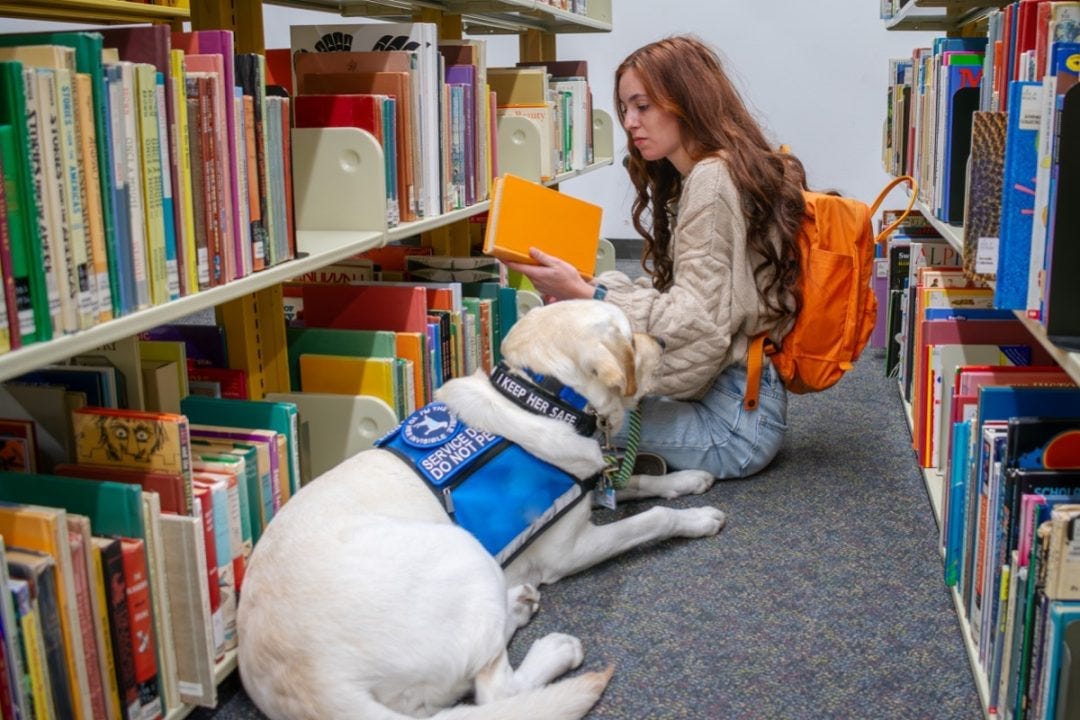 Happily Handicapped Nation: Almost 4 in 10 Stanford Students Claim “Disability” Happily Handicapped Nation: Almost 4 in 10 Stanford Students Claim “Disability”