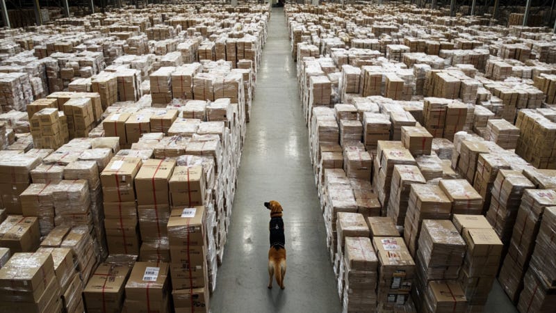 dog in a warehouse | Institute for Justice dog in a warehouse | Institute for Justice
