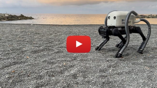 VERO: a Vacuum-cleaner-Equipped Quadruped RObot for Efficient Litter Removal VERO: a Vacuum-cleaner-Equipped Quadruped RObot for Efficient Litter Removal