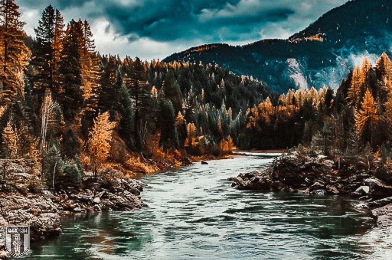 Montana Montana