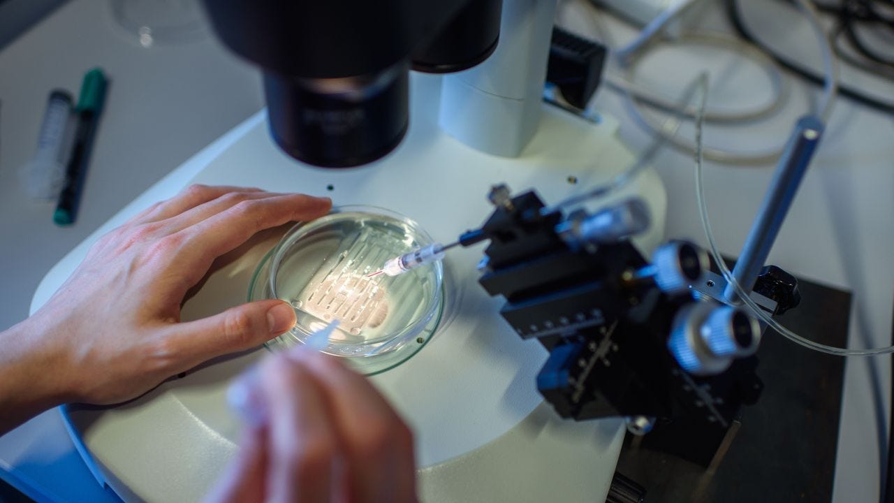 CRISPR treatment has been greenlit in UK in global first. Here's who it could help | CNN CRISPR treatment has been greenlit in UK in global first. Here's who it could help | CNN