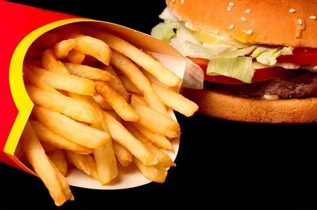 US: Animal Contraceptive and Antibiotics Detected in Top 10 Popular Fast Foods-Report US: Animal Contraceptive and Antibiotics Detected in Top 10 Popular Fast Foods-Report