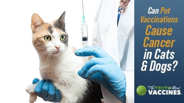TTAV-10-Pet_Vaccine-Web-588x330 TTAV-10-Pet_Vaccine-Web-588x330