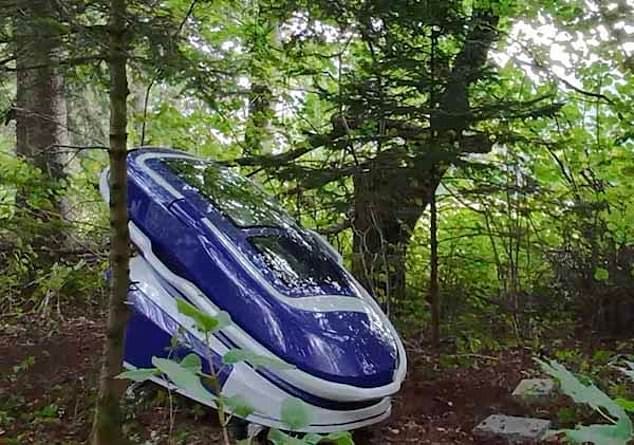 The first use of Sarco capsule took place in the middle of the forest, according to the creators of the device The first use of Sarco capsule took place in the middle of the forest, according to the creators of the device