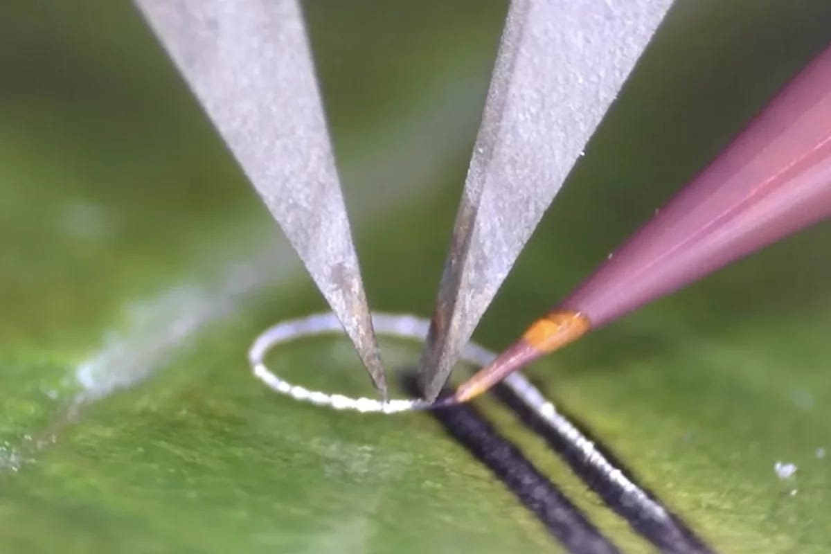 The Meta-NFS device concentrates microwave energy into a zone smaller than 200 micrometers, about the width of a human hair, enabling electronics to be printed onto bone, tissue, and living plants The Meta-NFS device concentrates microwave energy into a zone smaller than 200 micrometers, about the width of a human hair, enabling electronics to be printed onto bone, tissue, and living plants