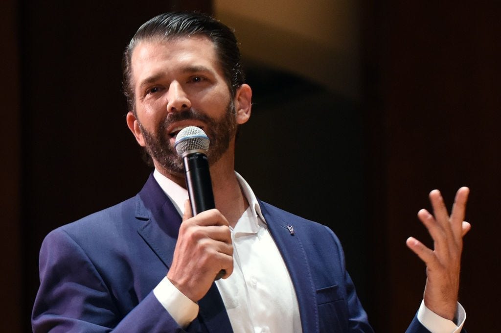 business don jr business don jr