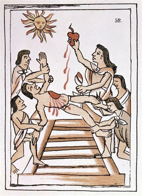 The Sacrifice of the Human Animal The Sacrifice of the Human Animal