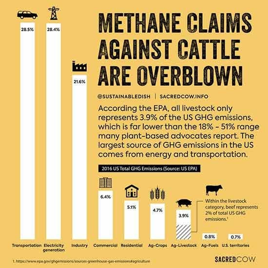 methane methane