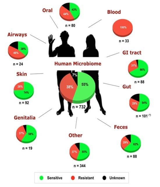 human microbiome human microbiome