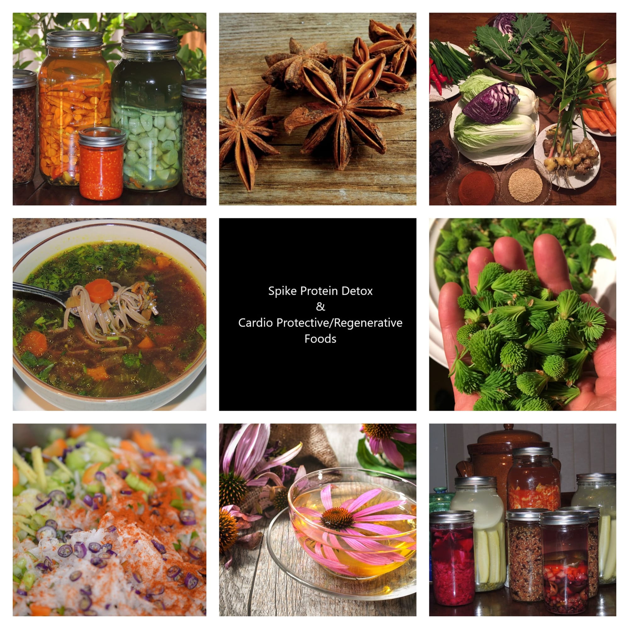 Spike Protein Detox Intel and foods/herbs with Cardio-Protective and perhaps Cardio-Regenerative Potential Spike Protein Detox Intel and foods/herbs with Cardio-Protective and perhaps Cardio-Regenerative Potential