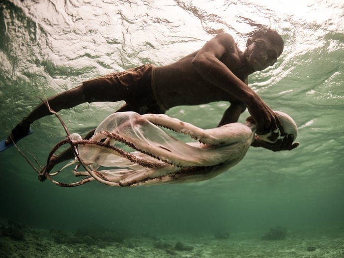 Bajau Laut: Photos of Nomads Who Spend Their Lives at Sea Bajau Laut: Photos of Nomads Who Spend Their Lives at Sea