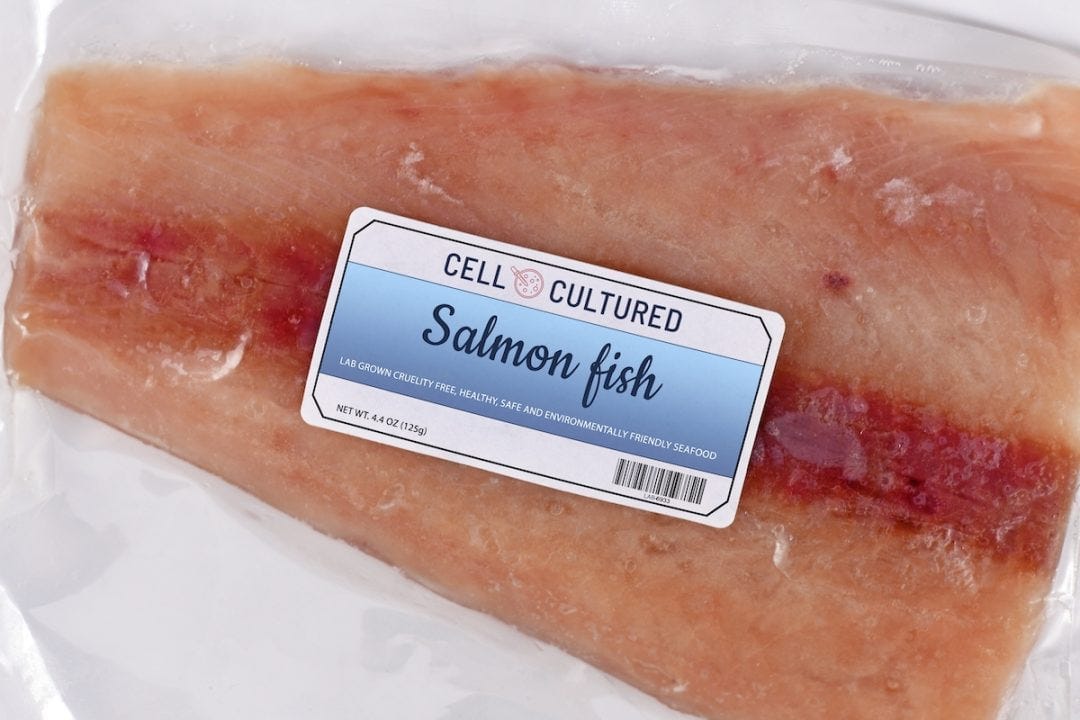 FDA Rubber-stamps Approval of Lab-grown Salmon FDA Rubber-stamps Approval of Lab-grown Salmon