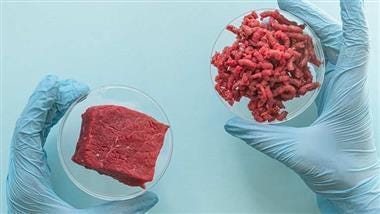 lab grown meat lab grown meat