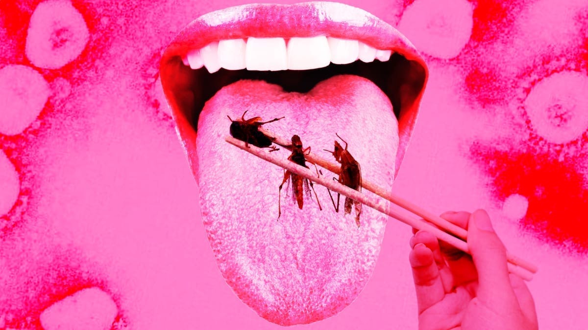 COVID Truthers' New Freakout Is Over Supposedly Being Forced to Eat Bugs COVID Truthers' New Freakout Is Over Supposedly Being Forced to Eat Bugs