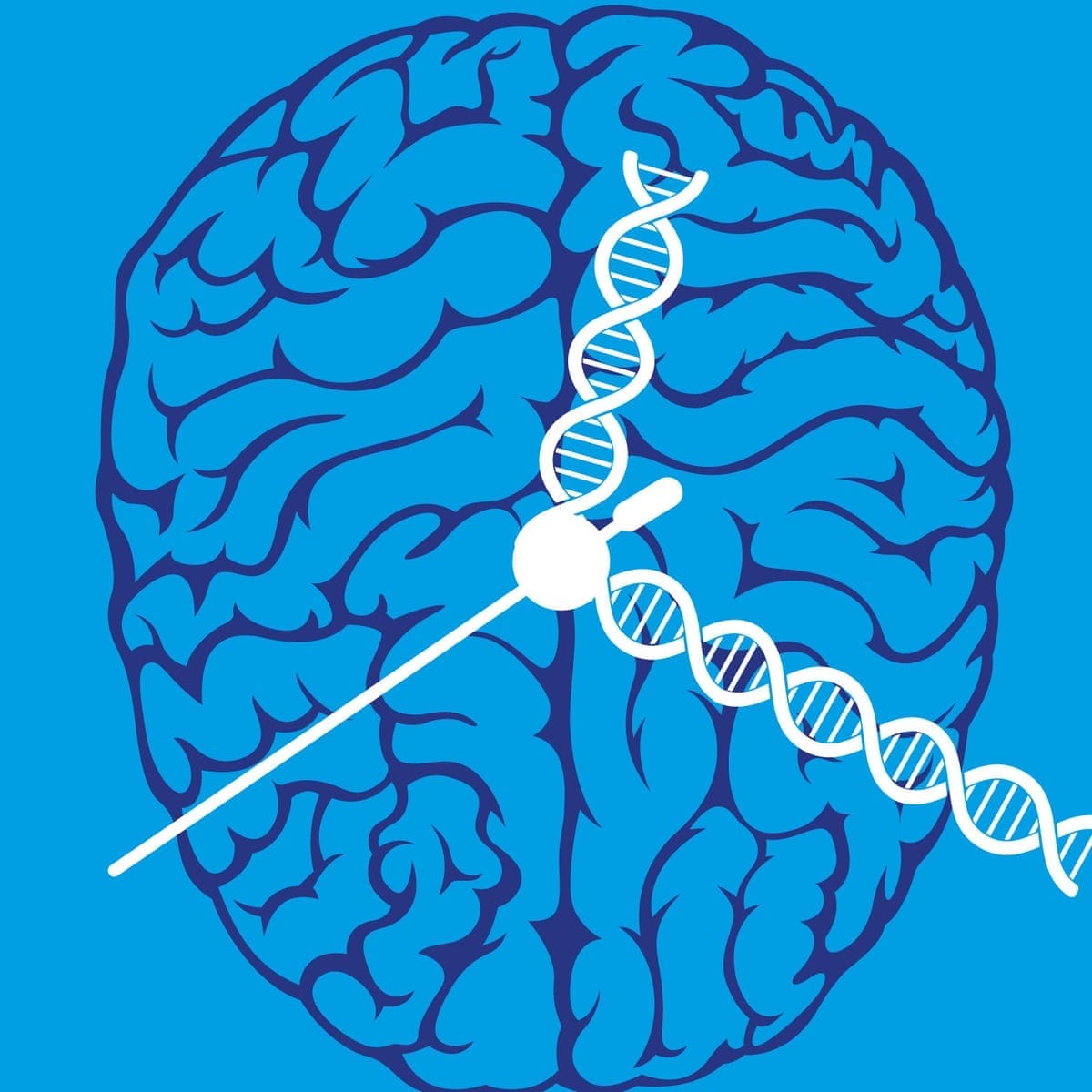 Epigenetics, the misunderstood science that could shed new light on ageing | Genetics | The Guardian Epigenetics, the misunderstood science that could shed new light on ageing | Genetics | The Guardian
