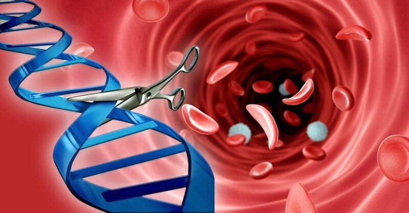 uk crispr human therapy feature uk crispr human therapy feature