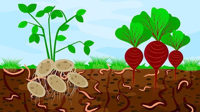 GMOs%20don't%20belong%20in%20the%20soil.jpg GMOs%20don't%20belong%20in%20the%20soil.jpg
