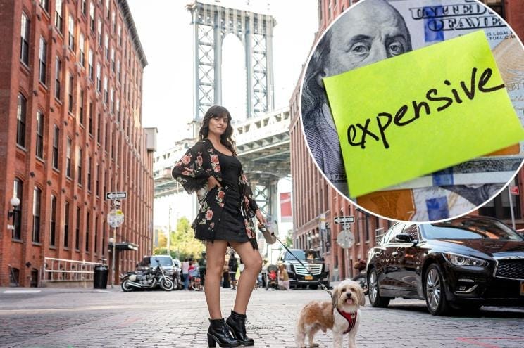An image collage containing 2 images, Image 1 shows A woman and her small dog standing on a cobblestone street in front of the Manhattan Bridge in Dumbo, Brooklyn, Image 2 shows A yellow sticky note with "expensive" written on it, placed on a US hundred-dollar bill