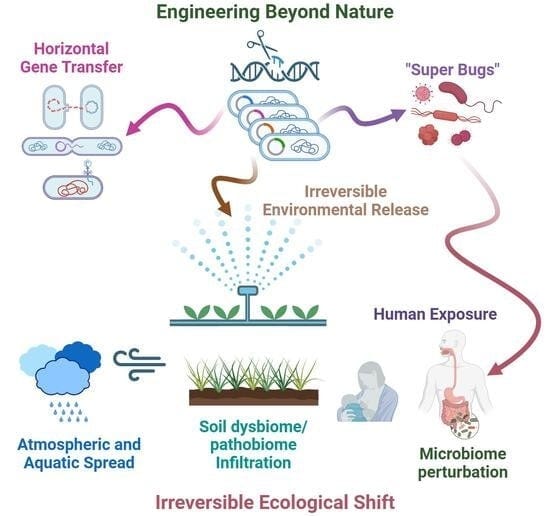 Graphical Abstract Graphical Abstract