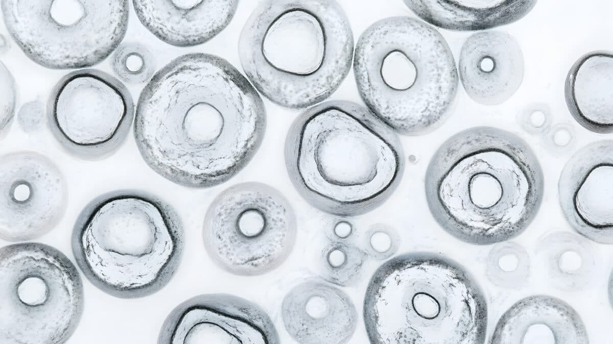 Senescent cells