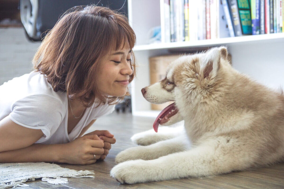 Woman with her dog Woman with her dog