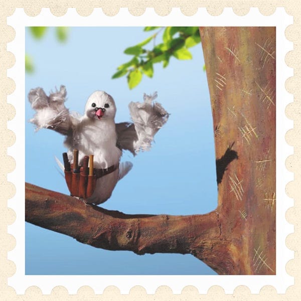 Lex Dove sitting on a tree limb Lex Dove sitting on a tree limb
