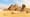 EXCLUSIVEScientists who discovered 'vast city' underneath Egypt's Giza pyramid reveal new secrets about mysterious structures