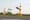 Single-seater eVTOLs duke it out for air race supremacy