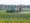 Herbicide drift destroying organic crops on Central Illinois farms