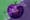 Trojan Tomato: A New GMO Is Designed To Infiltrate America's Gardens