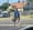 "Can't Take It Anymore": Residents Of Springfield Ohio Beg For Help After 20,000 Haitians Overwhelm City, Eat Local Wildlife