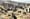 Aid Truck Stampede 'Massacre' In Gaza: Israel Accused Of Opening Fire On Crowd