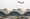 American Airlines Struggles With Pilot Deficit, Grounds 150 Aircraft