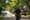 Without Tax-Funded Police, Who Keeps the Peace?