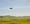 Are Flying Cars Finally Here?