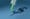 U.S. Government Gives Moderna $176 Million to Develop mRNA Bird Flu Biologic