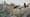 Record Sale Worth Almost $600 Million for Archer’s Midnight Air Taxi