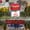 GOING VIRAL: a leaked video shows Campbell's Soup VP admitting their soup is "gross"..