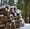 Alaskans Denied Access to Firewood