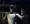 Humanoid Robots – What BoA analysts learned at China’s World Robot Conference & What JP Morgan Analysts Saw at Tesla’s Fremont Factory